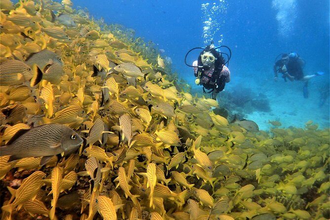 Diving in Cancun Underwater Museum of Art - Small group energy: what max 15 actually changes