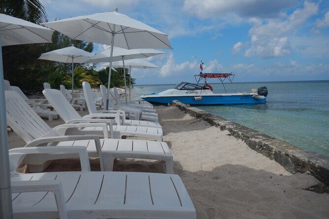 Dune Buggy Adventure in Cozumel with Snorkel and Mexican Lunch - Lunch at the coast: tacos or chicken fajitas, but skip the drink budget surprise