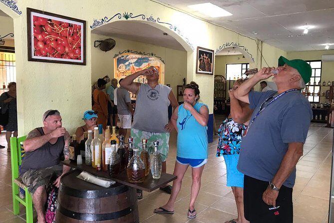 Dune Buggy Adventure, Snorkel, Mayan Town, East Coast, Tequila and City Tour - Pickup From Cruise Ports and Hotels: How to Prevent a Stressful Start