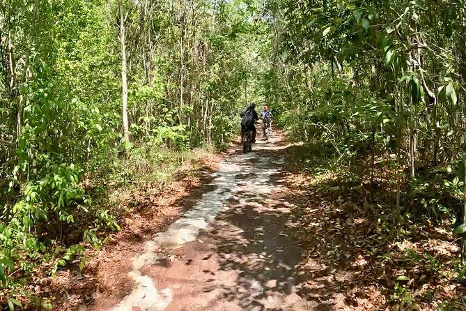 E-bike cenote jungle city tour in Playa del Carmen - Who This Tour Suits Best in Playa del Carmen