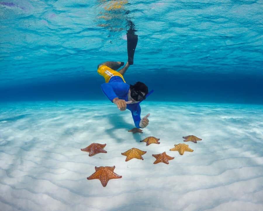 El Cielo and El Cielito in Cozumel with Beach Club, Food, and Open Bar - A Catamaran Day Built Around Cozumel’s Shallow-Water Stars