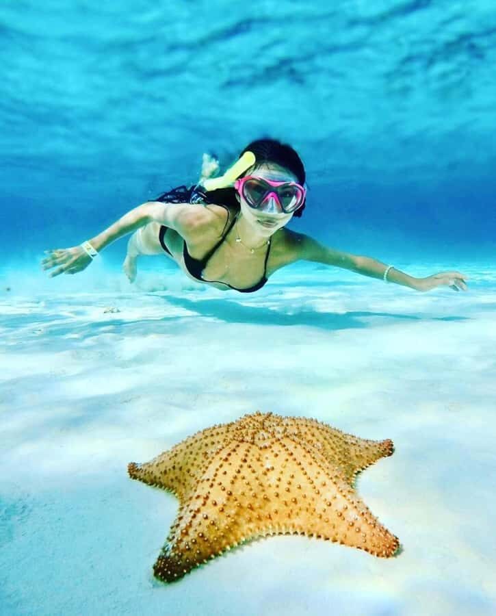 El Cielo and El Cielito in Cozumel with Beach Club, Food, and Open Bar - Palancar Reef Snorkel Stop: Why This One Fits the Day