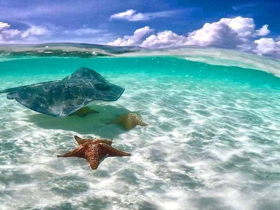 El Cielo and El Cielito in Cozumel with Beach Club, Food, and Open Bar - Bahía Beach Club: Facilities Worth the Small Wading Moment