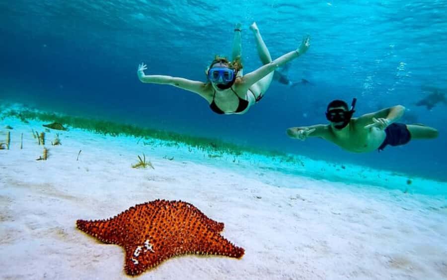 El Cielo and El Cielito in Cozumel with Beach Club, Food, and Open Bar - Price and Value: Where Your Money Goes
