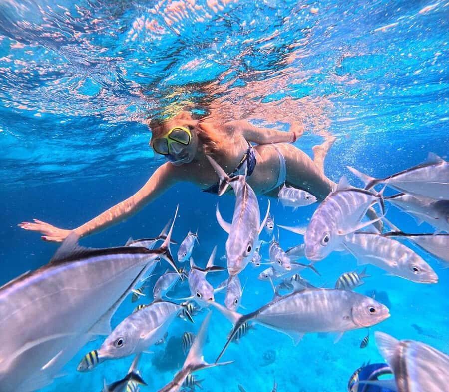 El Cielo and El Cielito in Cozumel with Beach Club, Food, and Open Bar - Service and Guides: What You Should Expect in the Group