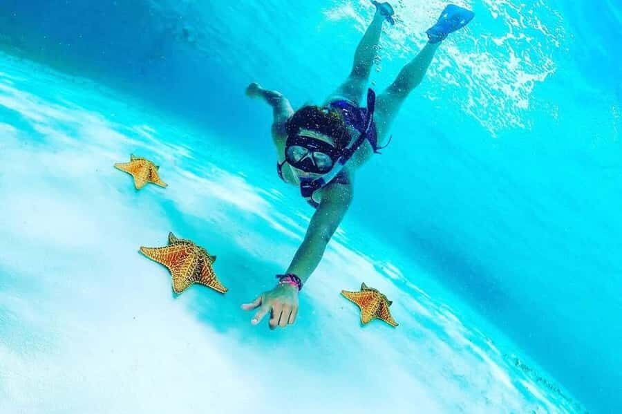 El Cielo and El Cielito in Cozumel with Beach Club, Food, and Open Bar - From Playa del Carmen to Cozumel: The Ferry Time Reality Check