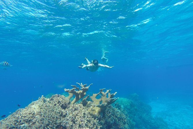 El Cielo and Snorkel Private Excursion - Timing, crowds, and what “escape the crowds” means in practice