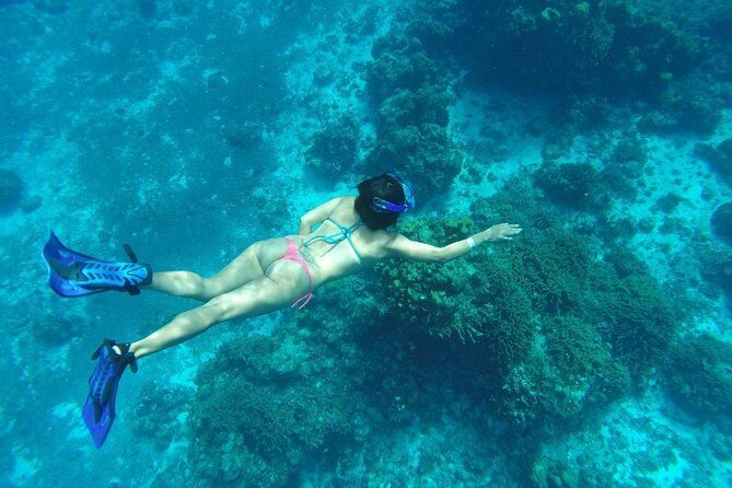 El Cielo and Snorkel Private Excursion - Cruise ship days: plan like a pro