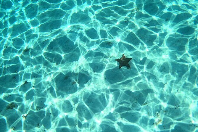 El Cielo and Snorkeling for Cruise Ship Passengers - Stop-by-stop: Colombia, Palancar Reef, El Cielo, and El Cielito