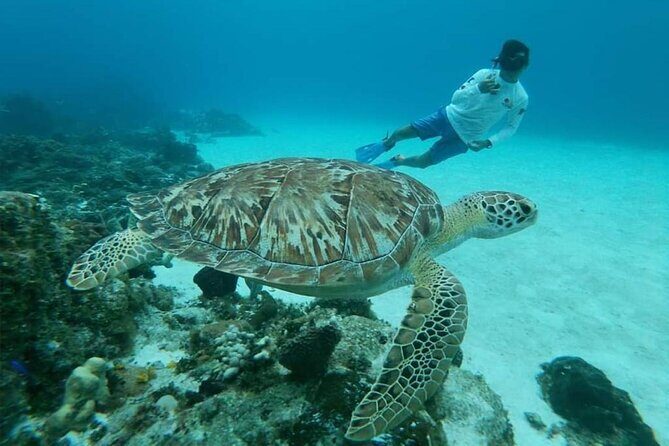 El Cielo Cozumel Snorkel tour by Catamaran - Gear, Guidance, and What “Guided” Really Means