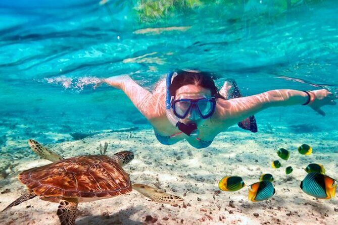 El Cielo Palancar and Columbia Snorkeling Tour - Playa El Cielo and the El Cielito Sandbar for Stingray Sightings