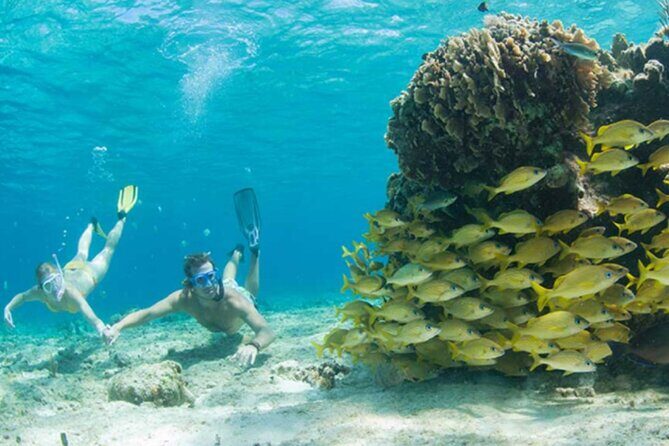 El Cielo Palancar and Columbia Snorkeling Tour - Snorkel Gear, Flotation Rules, and Comfort Tips That Matter
