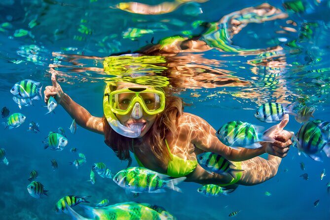 El Cielo Snorkeling Adventure in Cozumel - Key things to know before you go