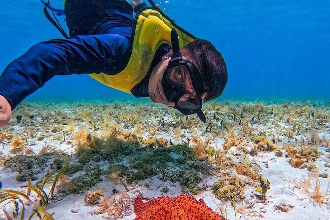 El Cielo Snorkeling Adventure in Cozumel - El Cielo Snorkeling Adventure: what the 4.5 hours feels like