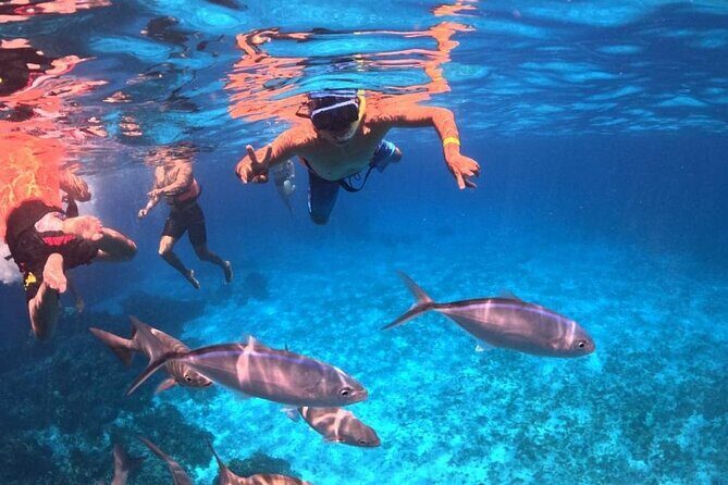El Cielo Snorkeling Adventure in Cozumel - Playa El Cielo: the starfish sandbar that earns its name