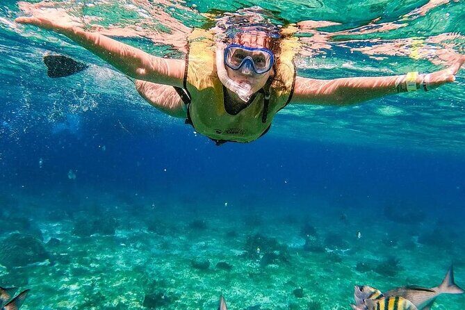 El Cielo Snorkeling Adventure in Cozumel - El Cielito and the return with music on the water