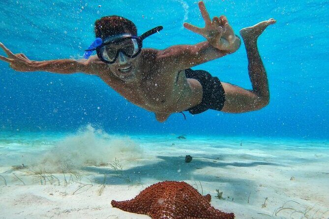 El Cielo Snorkeling Adventure in Cozumel - Food, drinks, and snorkeling comfort: the little things that count
