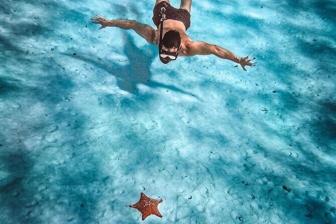 El Cielo Snorkeling Adventure in Cozumel - Price and what you really get for $28