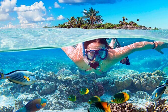 Electric Island Tour with Snorkeling, Lunch & Otoch Mayan Experience - Electric-Car Cozumel Time: Drive Your Own Way (Without the Hassle)
