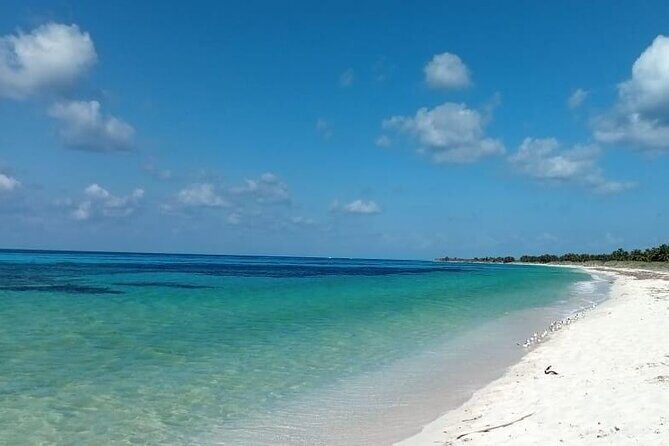 Electric Island Tour with Snorkeling, Lunch & Otoch Mayan Experience - Otoch Mayan Experience: Ceremony Plus Real Food and Drink Tastings