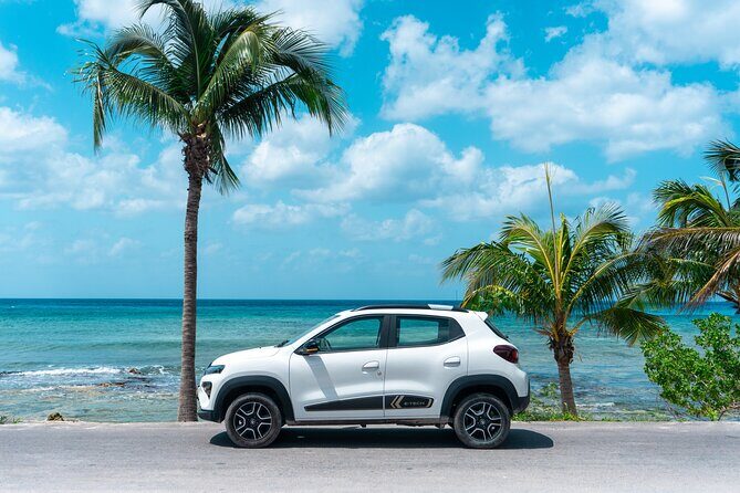 Electric Island Tour with Snorkeling, Lunch & Otoch Mayan Experience - San Martin Beach Lunch: The Sea-Side Reset You Need