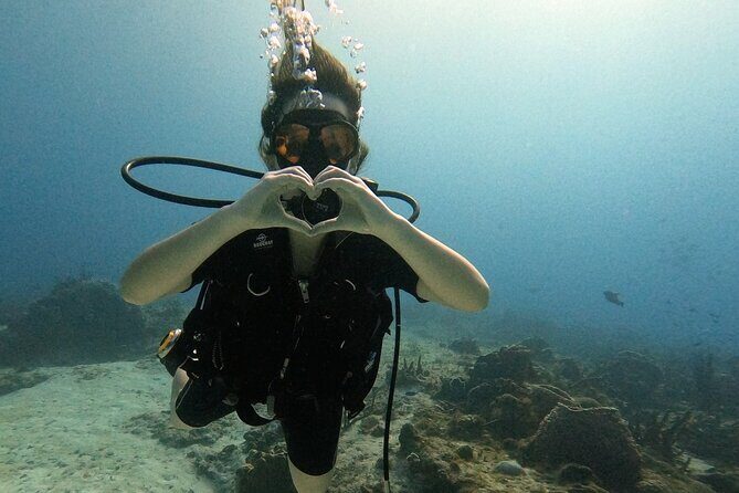 Enjoy two dives without previous experience with a boat trip - Why This Is a Smart First-Scuba Option