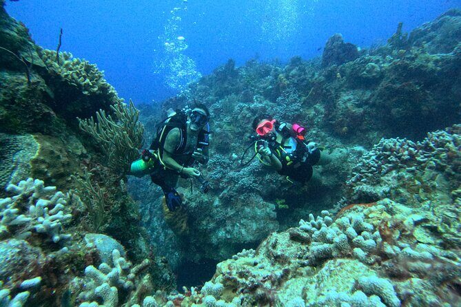 Enjoy two dives without previous experience with a boat trip - Key Highlights You’ll Actually Care About