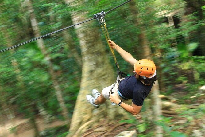 Exciting Day in the jungle of the Riviera Maya - Price and value: $29 is the start, not the full picture