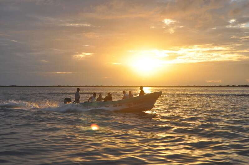 Exclusive Full Day Nature Expedition in Sian Ka'an - Wildlife viewing you can plan for (and how to set expectations)