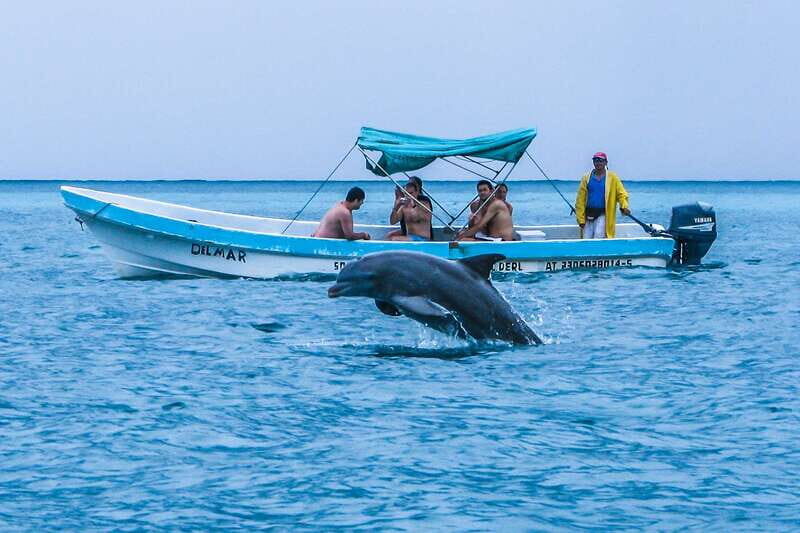 Exclusive Full Day Nature Expedition in Sian Ka'an - The snorkeling portion: protected reefs, weather reality
