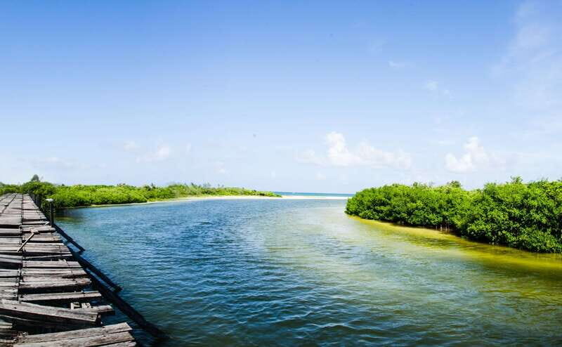 Exclusive Full Day Nature Expedition in Sian Ka'an - Lunch in Punta Allen: what you’ll eat and why it matters