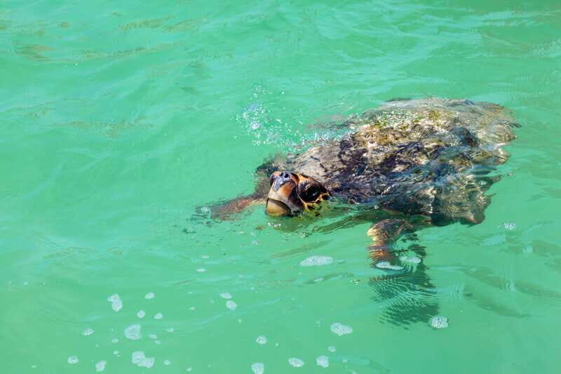 Exclusive Full Day Nature Expedition in Sian Ka'an - What to bring: the small items that save the day