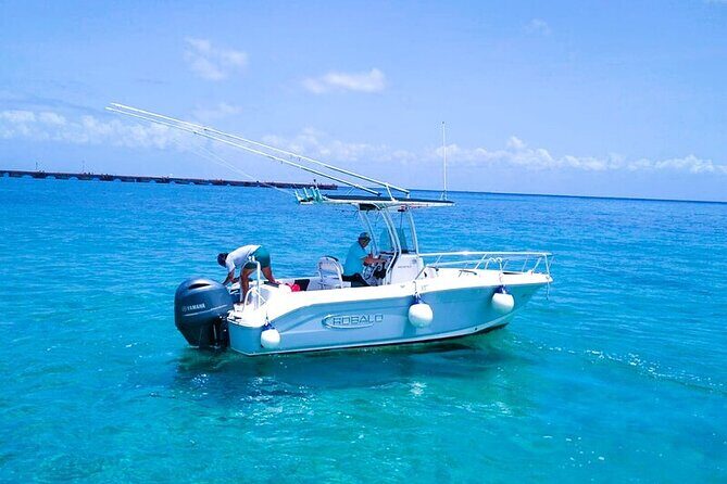 Exclusive Private Boat to El Cielo - Stop 3: Playa El Cielo’s Starfish Bay (Why This Stop Feels Different)