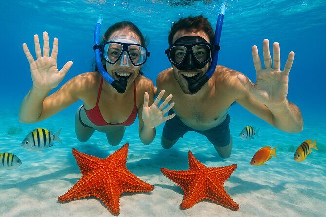 Exploration to El Cielo and Reefs: Live up close with stars - Key highlights to know before you go