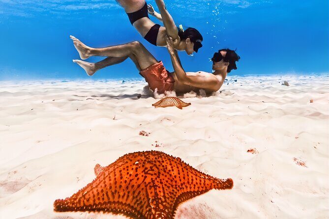 Exploration to El Cielo and Reefs: Live up close with stars - Cozumel reefs in one run: Columbia, Palancar, and starfish at El Cielo
