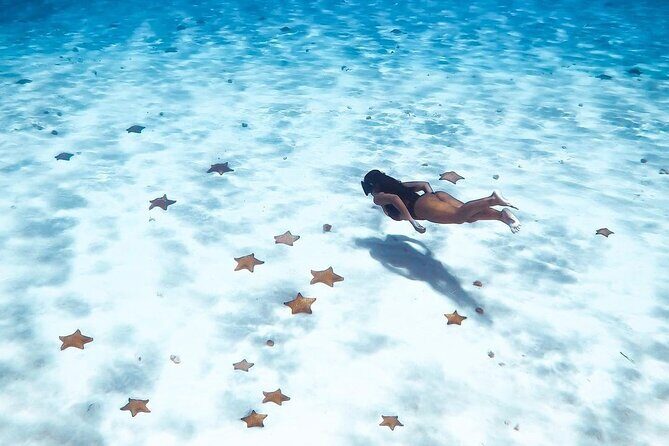 Exploration to El Cielo and Reefs: Live up close with stars - Stop Two: Columbia Reef, the deeper-feeling snorkeling stop