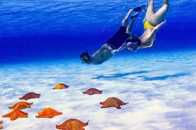 Exploration to El Cielo and Reefs: Live up close with stars - Stop One: Cozumel water time starts with orientation and travel out