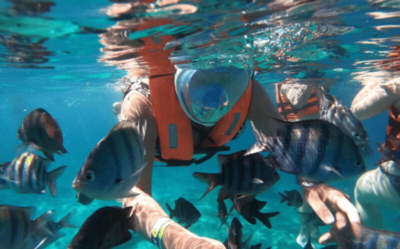 Explore the sea of cozumel in a transprent boat with drinks and snorkel. - Price and value: why $44 can still feel fair here