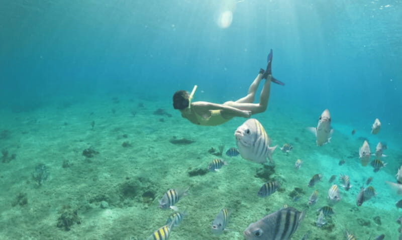 Explore the sea of cozumel in a transprent boat with drinks and snorkel. - Should you book it?