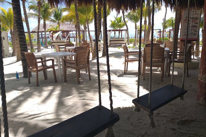 Fascinating beach club at Riviera Maya, full day pass with transport included - Food, Drinks, and On-Site Ease (Even When You’re Hungry)