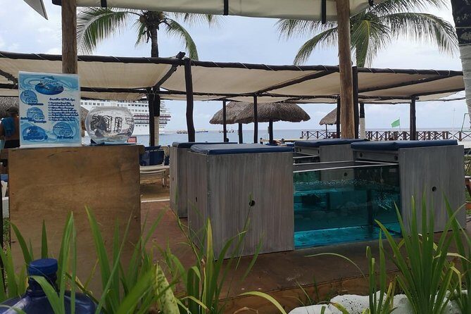 Fish Spa, Beach Break with Lounge Chairs, Umbrellas & Beach Area - Chulas Pool Party and Beach Bar: what your beach time really includes
