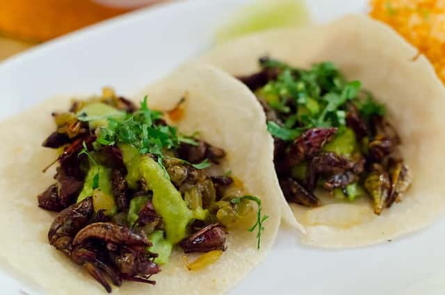 Food Hoppers 2.5-Hour Tour in Playa del Carmen - The food part: 5–7 stops with cochinita pibil, tamales, and more