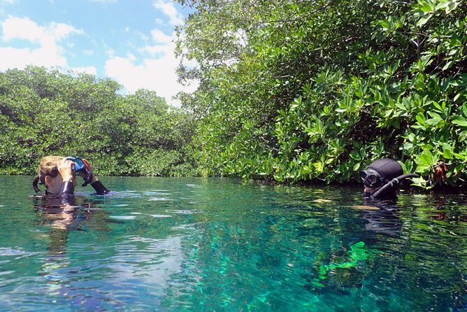Freediving Intro for Beginners in a Cenote in Tulum Mexico - The underwater session: 7-meter max, drills, and realistic timing