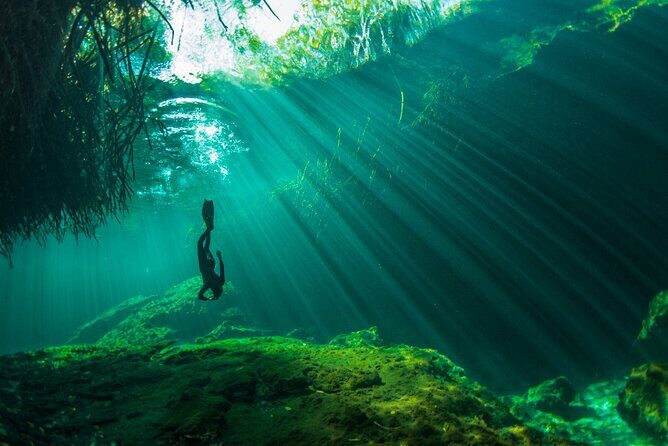 Freediving Intro for Beginners in a Cenote in Tulum Mexico - Should you book this beginner cenote breath-hold intro?