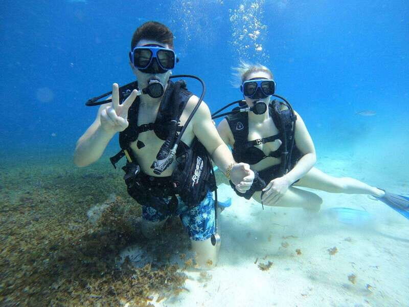 From Cozumel: Chankanaab Cozumel Scuba Diving - What You’ll See Underwater: Fish, Caves, and Sculptures