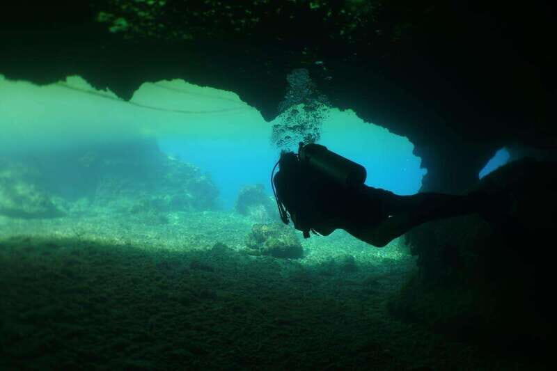 From Cozumel: Chankanaab Cozumel Scuba Diving - Price and Value: The $60 Cost Plus the $11 Marine Fee