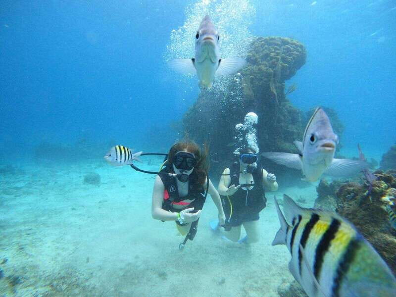 From Cozumel: Chankanaab Cozumel Scuba Diving - Safety and Who This Works For