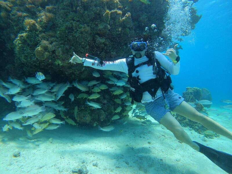 From Cozumel: Chankanaab Cozumel Scuba Diving - Practical Tips Before You Go (So You Start Happy)