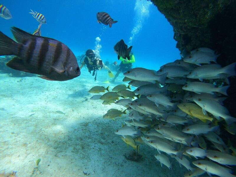 From Cozumel: Chankanaab Cozumel Scuba Diving - Your Intro Scuba Setup: What “No Experience Needed” Really Means