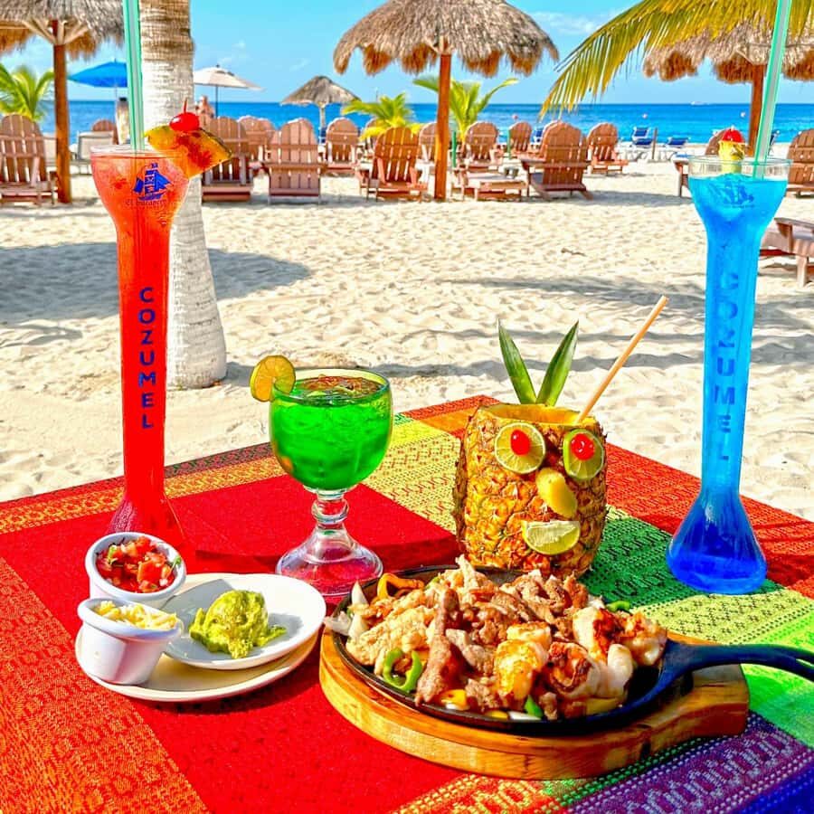 From Cozumel: Chankanaab Park Day pass with Open Bar & Lunch - The simple pitch: a short Chankanaab day pass with a lot packed in